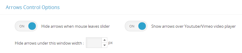 Master Slider layer timeline