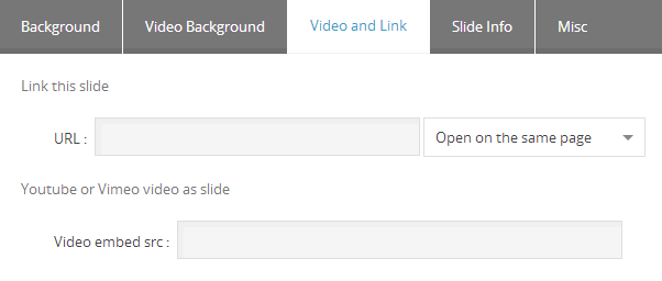 Master Slider Slide Video Background Settings