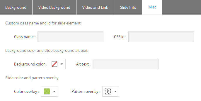 Master Slider Slide Video Background Settings