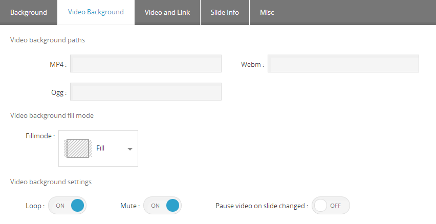 Master Slider Slide Video Background Settings