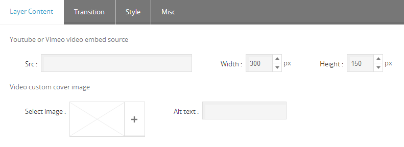 Master Slider Slide Video Background Settings